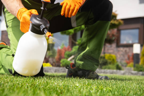Trusted Welsh, LA Pest Control Experts