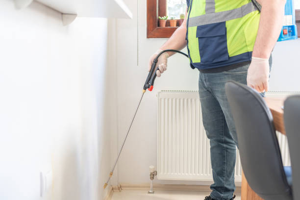 Best Termite Control Services  in Welsh, LA