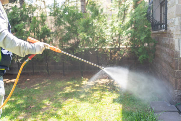 Best Commercial Pest Control Services  in Welsh, LA
