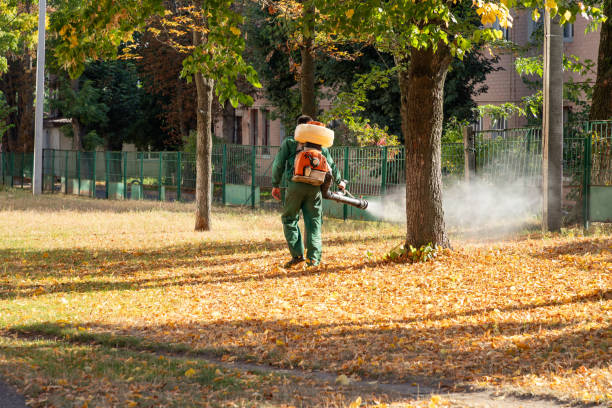 Best Residential Pest Control  in Welsh, LA